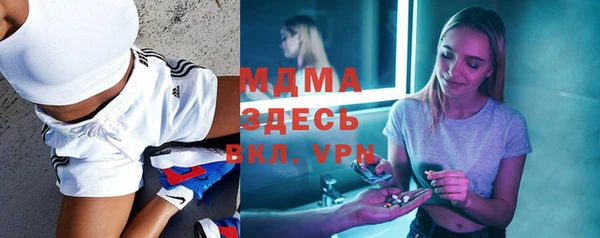 крисы Бородино