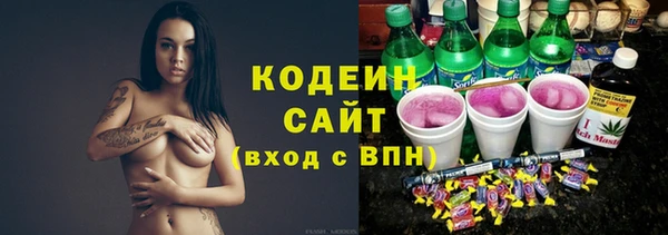 крисы Бородино