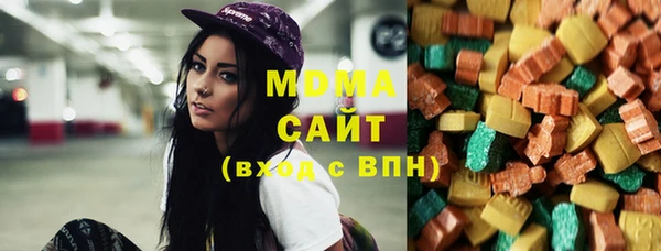 крисы Бородино