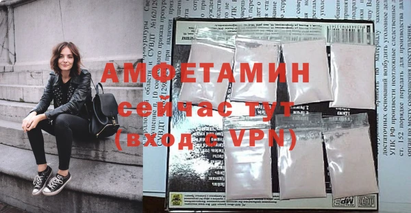 крисы Бородино