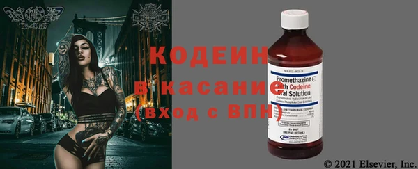 крисы Бородино
