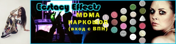 крисы Бородино