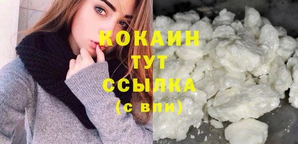 крисы Бородино