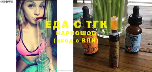 крисы Бородино