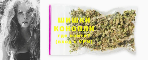 крисы Бородино