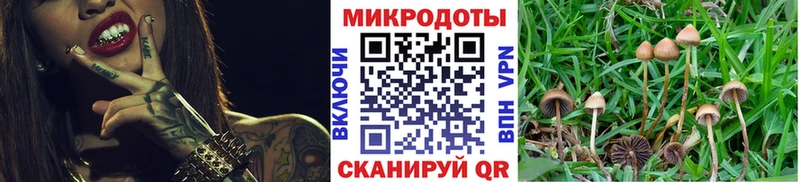 Псилоцибиновые грибы ЛСД  Иноземцево 