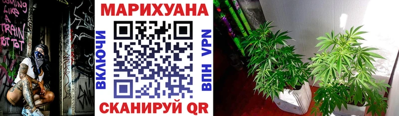 Канабис White Widow  Иноземцево 